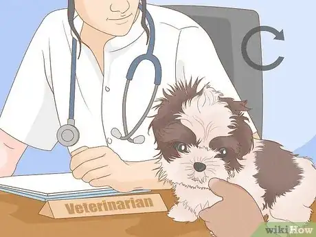 Image titled Get Rid of a Growth on a Dog's Eyelid Step 10