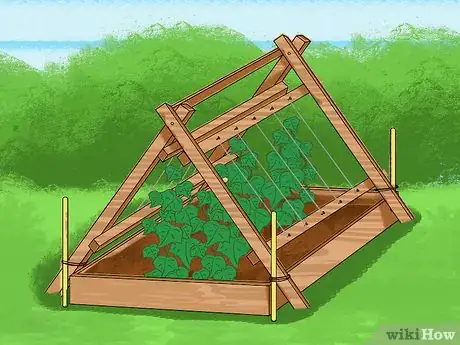 Image titled Trellis Cucumbers Step 21