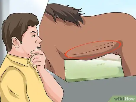 Image titled Diagnose Heaves in Horses Step 2