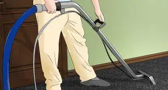 Remove Vomit Smell from Carpet