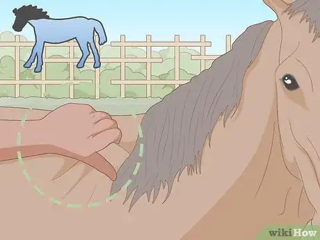 Image titled Know if Your Horse Is Sick Step 3