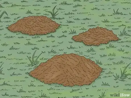 Image titled Gopher vs Groundhog Step 8