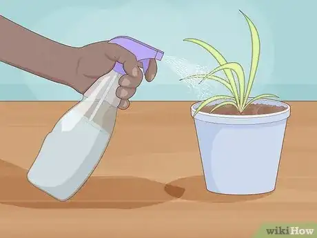 Image titled Propagate Baby Spider Plants Step 7