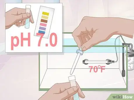 Image titled Care for Corydoras Step 2