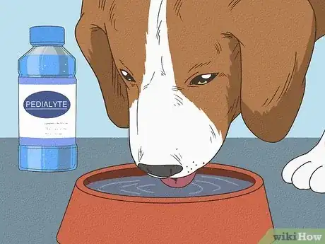 Image titled What to Feed a Puppy with Parvo Step 6