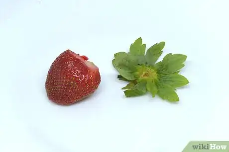 Image titled Extract Strawberry DNA Step 3