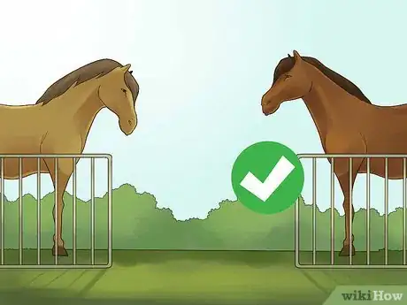 Image titled Socialize a Single Horse Step 24