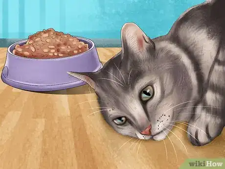 Image titled Know if a Kitten Is Stressed Step 2