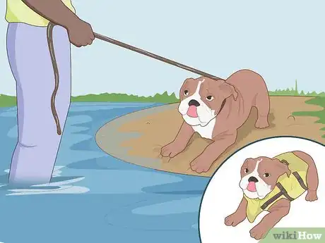 Image titled Choose the Right Life Jacket for Your Dog Step 11