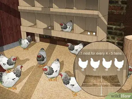 Image titled Keep Chickens from Eating Their Own Eggs Step 1