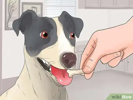 Image titled Teach Your Dog Tricks Step 1