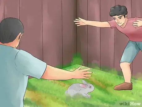 Image titled Catch a Pet Rabbit Step 16