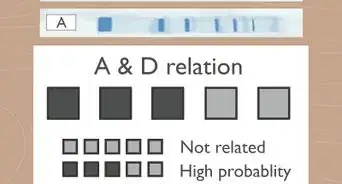 Read Gel Electrophoresis Bands