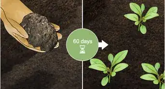 Increase Nitrogen in Soil