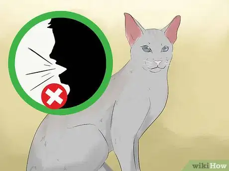 Image titled Tell if Your Cat Is Blind Step 14