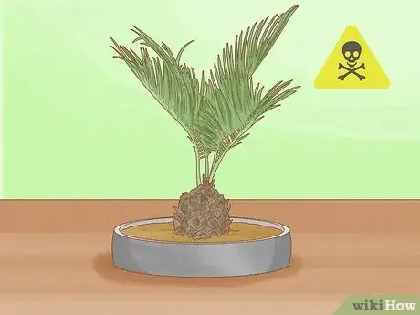 Image titled Are Bonsai Trees Poisonous to Cats Step 2