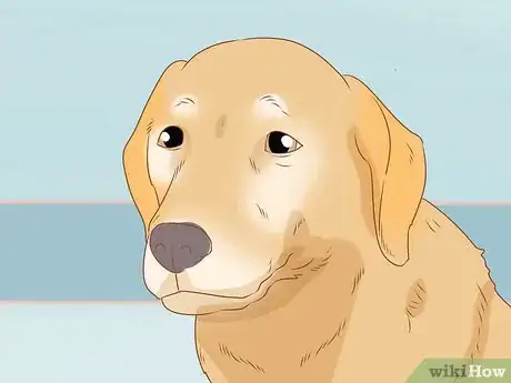 Image titled Tell if Your Dog Is Depressed Step 9