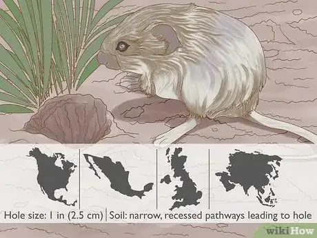 Image titled How Do You Identify Burrowing Animal Holes Step 10