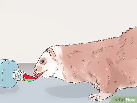 Image titled Clean a Ferret's Teeth Step 5