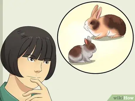 Image titled Buy a Rabbit Step 12