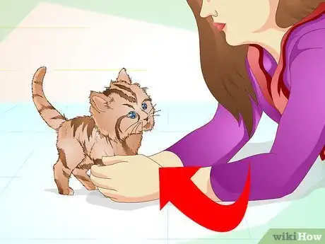 Image titled Get a Sick Kitten to Eat Step 14