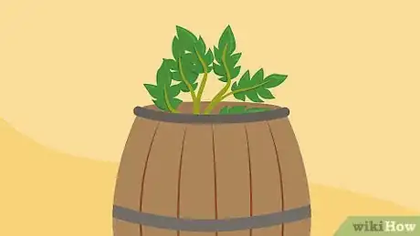 Image titled Grow Potatoes in Barrels Step 18