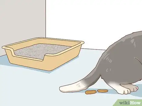 Image titled Tell if Your Cat Is Depressed Step 9