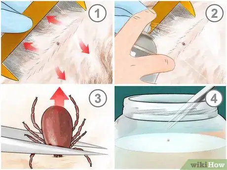 Image titled Get Ticks off Dogs Step 12