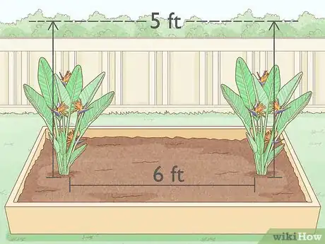 Image titled Grow Bird of Paradise Step 5