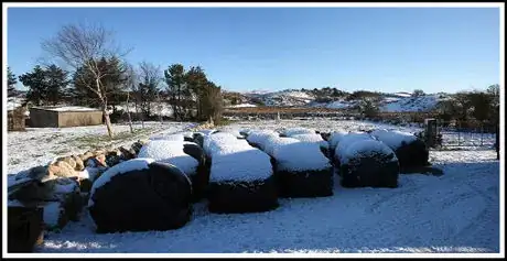 Image titled Winter Silage