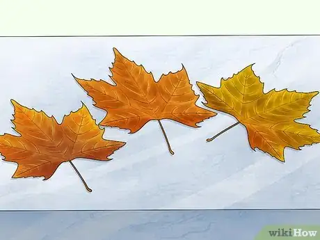 Image titled Preserve Fall Leaves Step 17