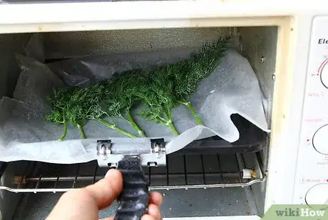 Image titled Dry Dill Step 15