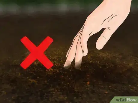 Image titled Deal with Black Spot Leaf Disease Step 10