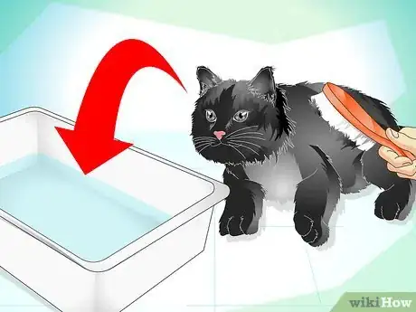 Image titled Care for Your Cat's Coat Step 7