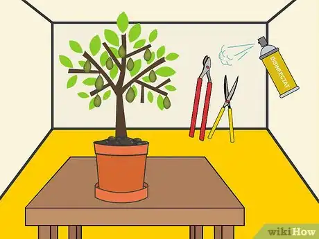 Image titled Prune an Avocado Tree in a Pot Step 01