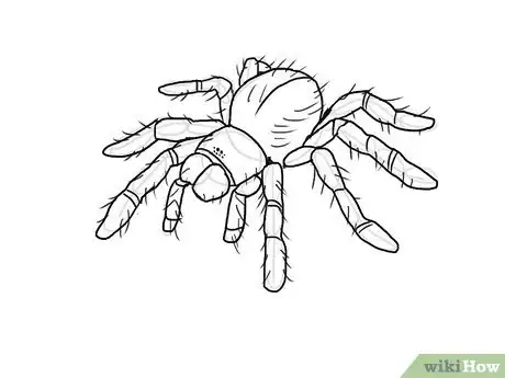 Image titled Draw a Spider Step 8