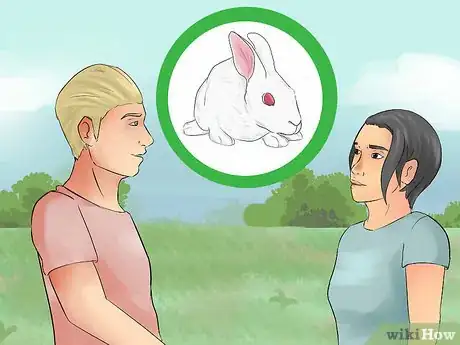 Image titled Catch a Pet Rabbit Step 10