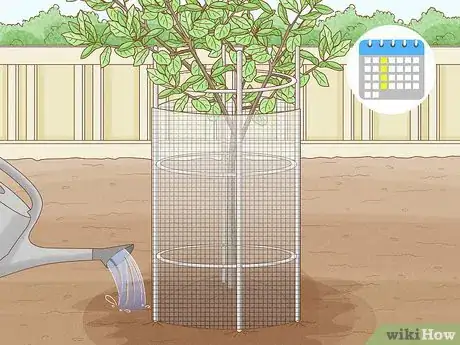 Image titled Grow Pear Trees from Seed Step 21