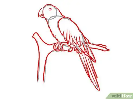 Image titled Draw a Parrot Step 7