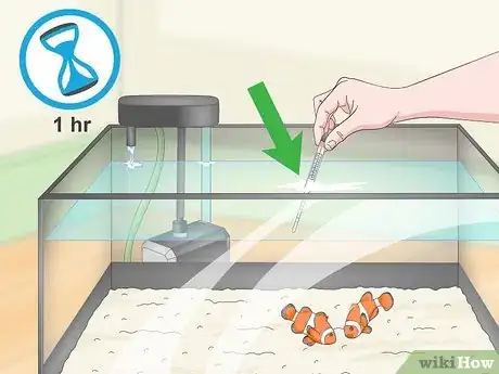 Image titled Raise the Salinity in a Reef Tank Step 10