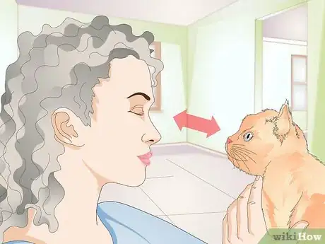 Image titled Teach Your Cat to Kiss Step 10