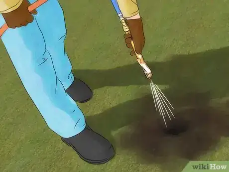 Image titled Get Rid of Gophers Step 14