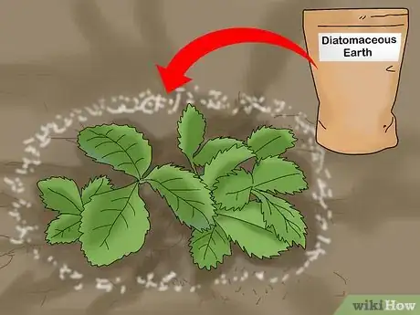 Image titled Apply Diatomaceous Earth Outdoors Step 2