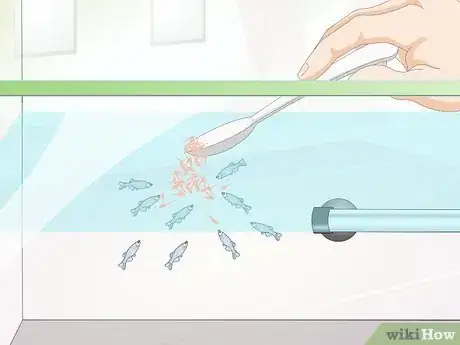 Image titled Breed Danios Step 11