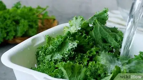 Image titled Clean Kale Step 8