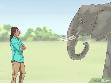 Image titled Survive a Charging Elephant Step 11