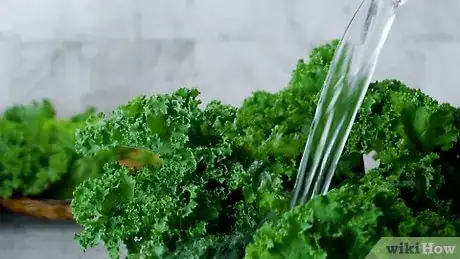 Image titled Clean Kale Step 1