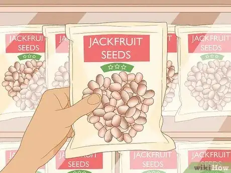 Image titled Plant Jackfruit Step 1