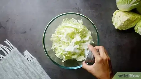 Image titled Make Sauerkraut Step 1