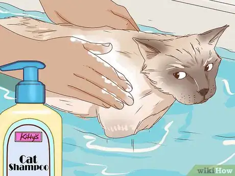 Image titled Bathe an Angry Cat With Minimal Damage Step 7